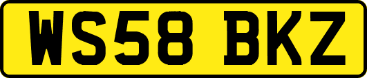 WS58BKZ