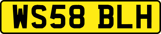 WS58BLH
