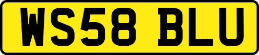 WS58BLU
