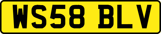 WS58BLV