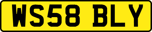 WS58BLY
