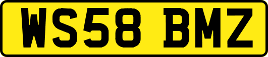 WS58BMZ