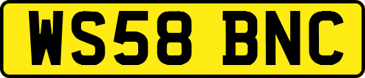 WS58BNC