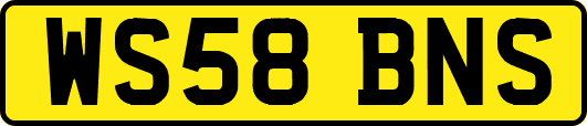 WS58BNS