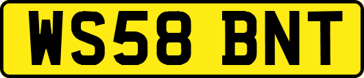 WS58BNT