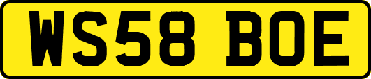 WS58BOE