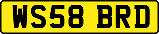 WS58BRD