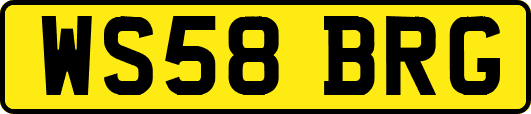 WS58BRG