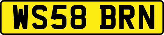 WS58BRN