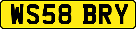 WS58BRY