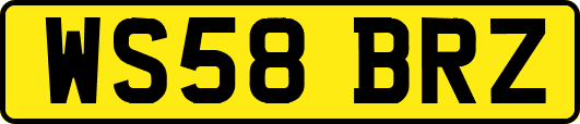 WS58BRZ