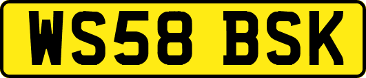 WS58BSK