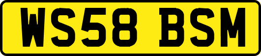 WS58BSM