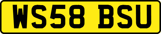 WS58BSU