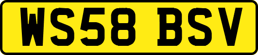 WS58BSV