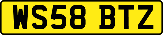 WS58BTZ