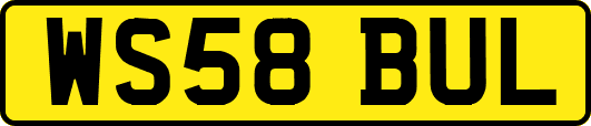 WS58BUL