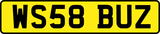 WS58BUZ