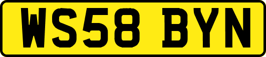 WS58BYN