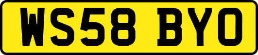 WS58BYO
