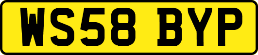 WS58BYP