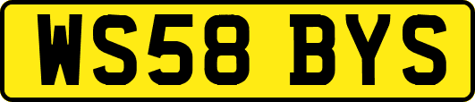 WS58BYS