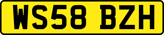 WS58BZH