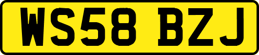 WS58BZJ