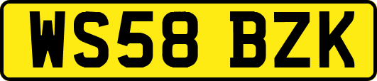 WS58BZK