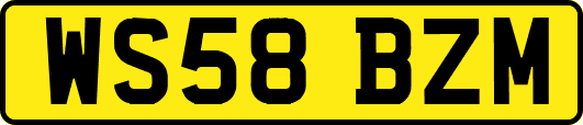 WS58BZM