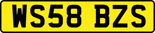 WS58BZS