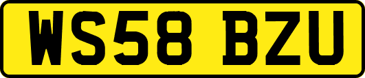 WS58BZU