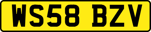 WS58BZV