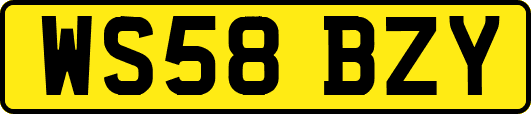 WS58BZY