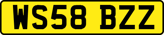 WS58BZZ