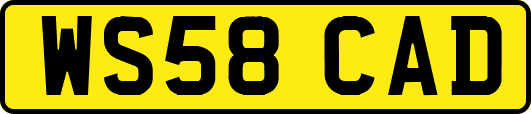 WS58CAD