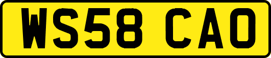 WS58CAO