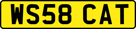 WS58CAT
