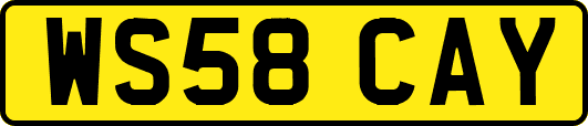 WS58CAY