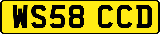 WS58CCD