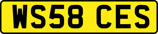 WS58CES