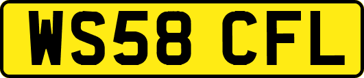 WS58CFL