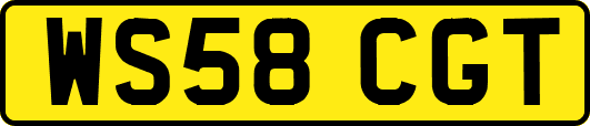 WS58CGT