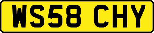 WS58CHY
