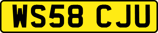 WS58CJU
