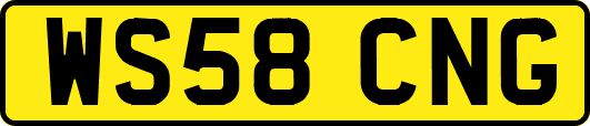 WS58CNG