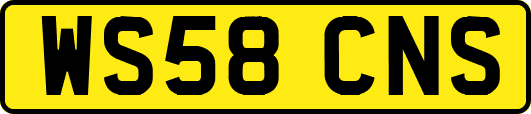WS58CNS
