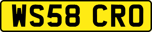 WS58CRO