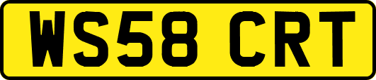 WS58CRT