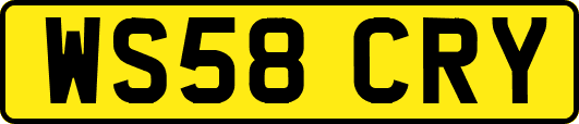 WS58CRY